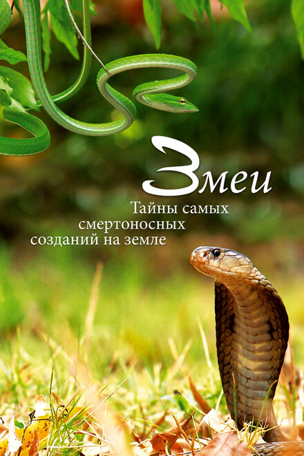  Змеи. Тайны самых смертоносных созданий на земле 